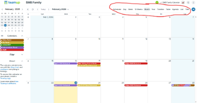 Screenshot showing calendar view options